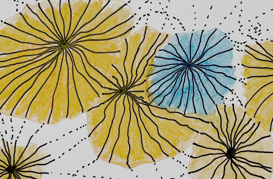 Fremd-Sein und Ankommen-Wollen